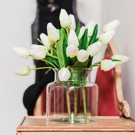 Bluamaranto Отель типа 