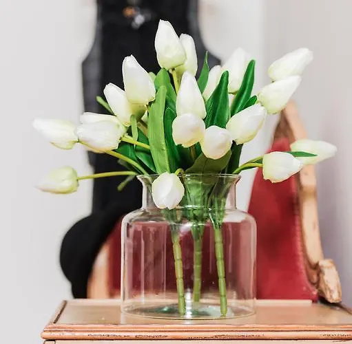 Bluamaranto Bed & Breakfast